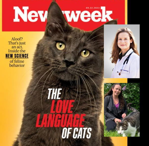 Newsweek Collaborates with ‘Cat World’ Experts for Series on Cat Health & Behavior